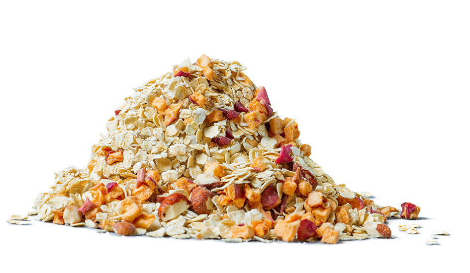 Regionique Bircher Müsli